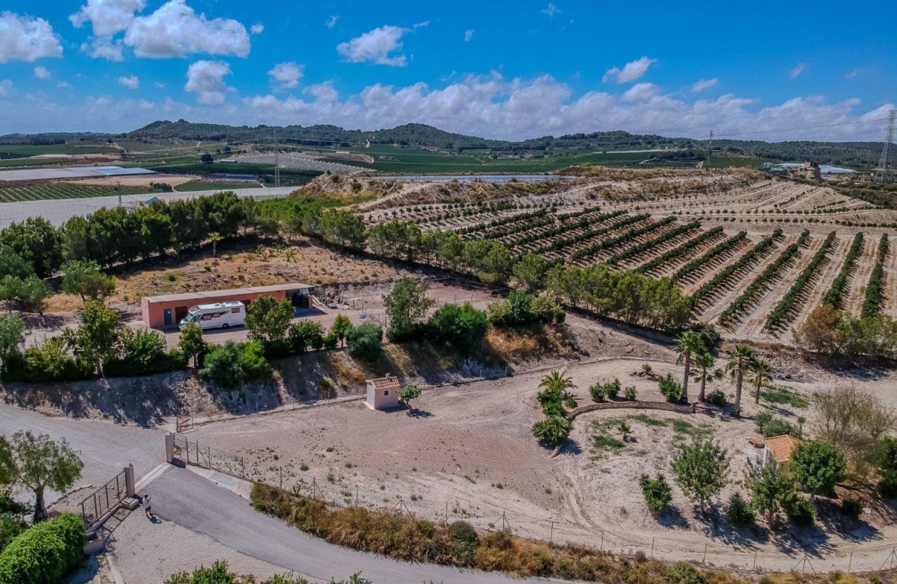 Reventa - Villa - San Miguel de Salinas - Torremendo