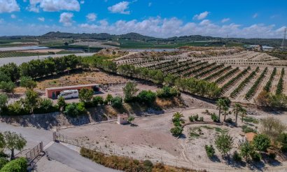 Reventa - Villa - San Miguel de Salinas - Torremendo