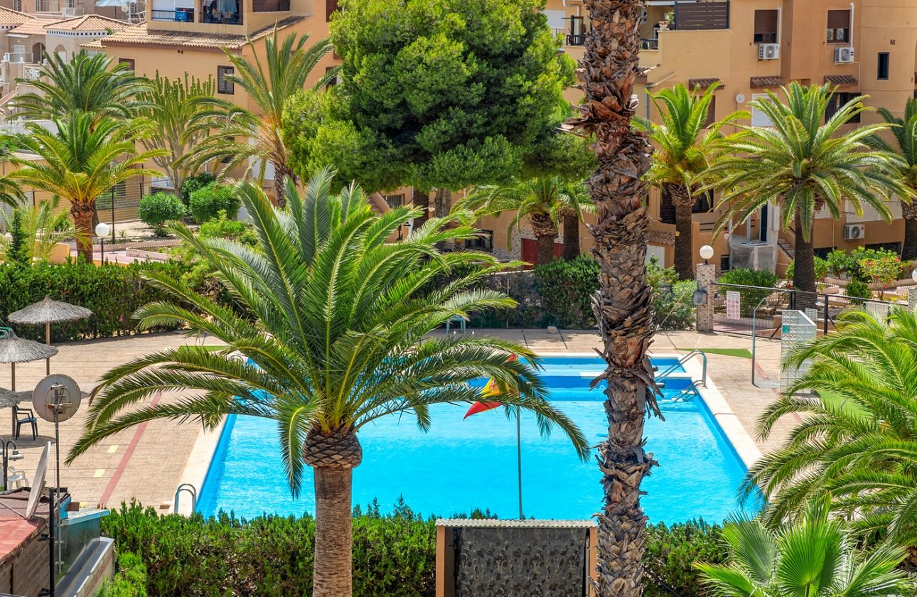 Reventa - Apartamento / piso - Torrevieja - Torrevieja - Aguas Nuevas
