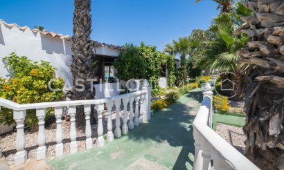 Resale - Bungalow - Torrevieja - Los Balcones