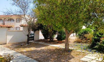 Revente - Bungalow - Torrevieja - La Siesta - El Salado - Torreta