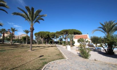 Revente - Bungalow - Torrevieja - Los Balcones - Los Altos del Edén