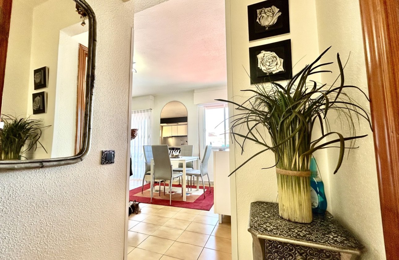 Revente - Appartement - Torrevieja