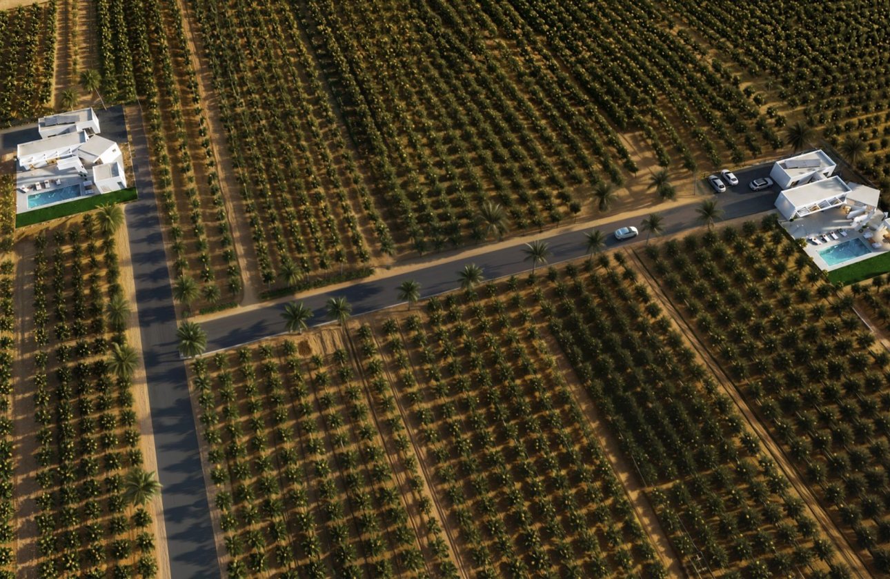 New Build - Villa - Benejúzar - alta