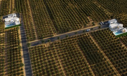 New Build - Villa - Benejúzar - alta