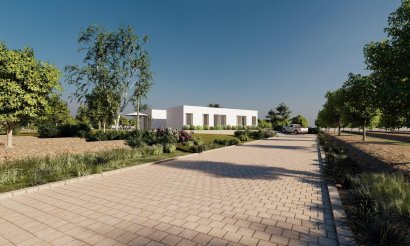 New Build - Villa - Benejúzar - alta