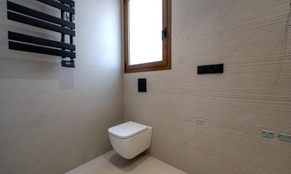 New Build - Villa - Benejúzar - alta