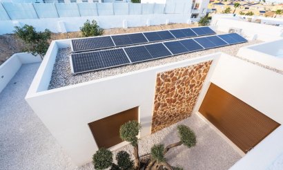 New Build - Villa - Benejúzar - alta