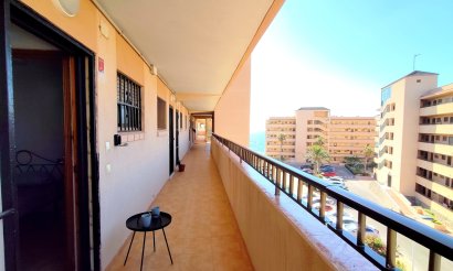 Revente - Appartement - Torrevieja