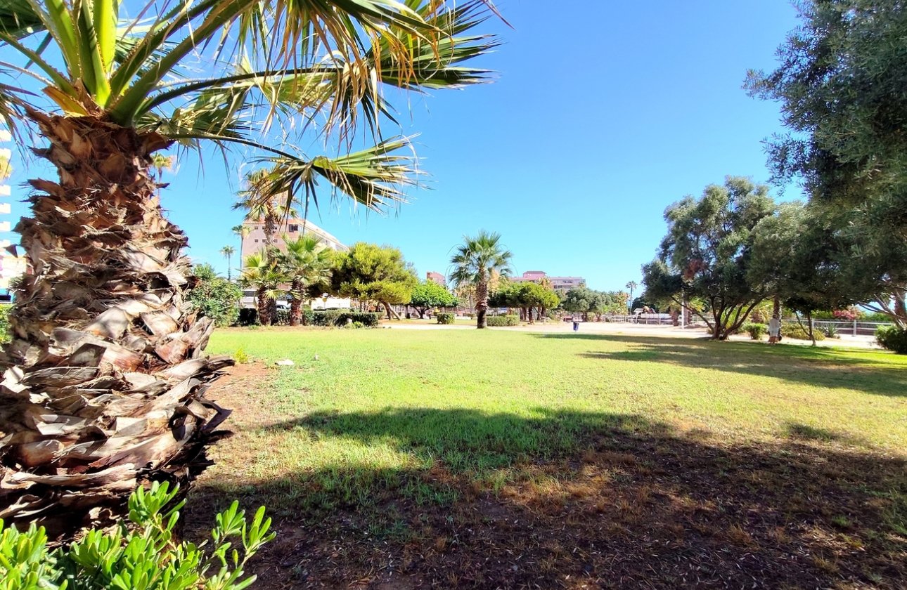 Revente - Appartement - Torrevieja
