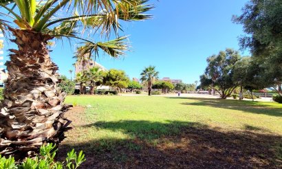 Revente - Appartement - Torrevieja