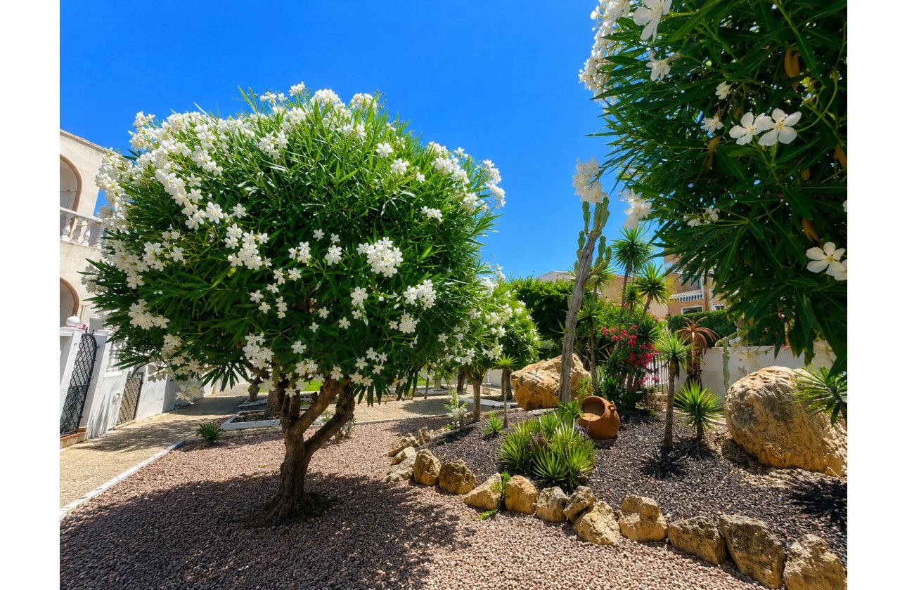 Revente - Bungalow - La Mata