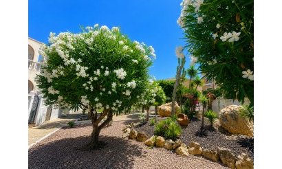 Revente - Bungalow - La Mata