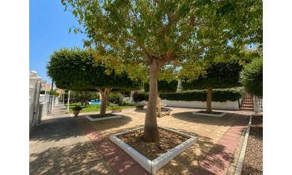 Revente - Bungalow - La Mata