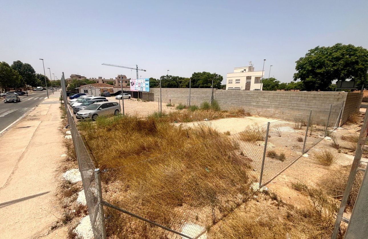 Reventa - Parcela / Terreno - Pilar de la Horadada