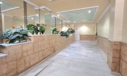 Revente - Appartement - Torrevieja