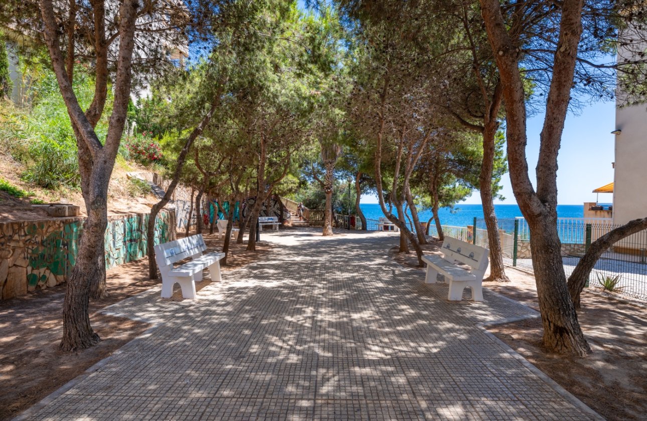Reventa - Apartamento / piso - Cabo Roig