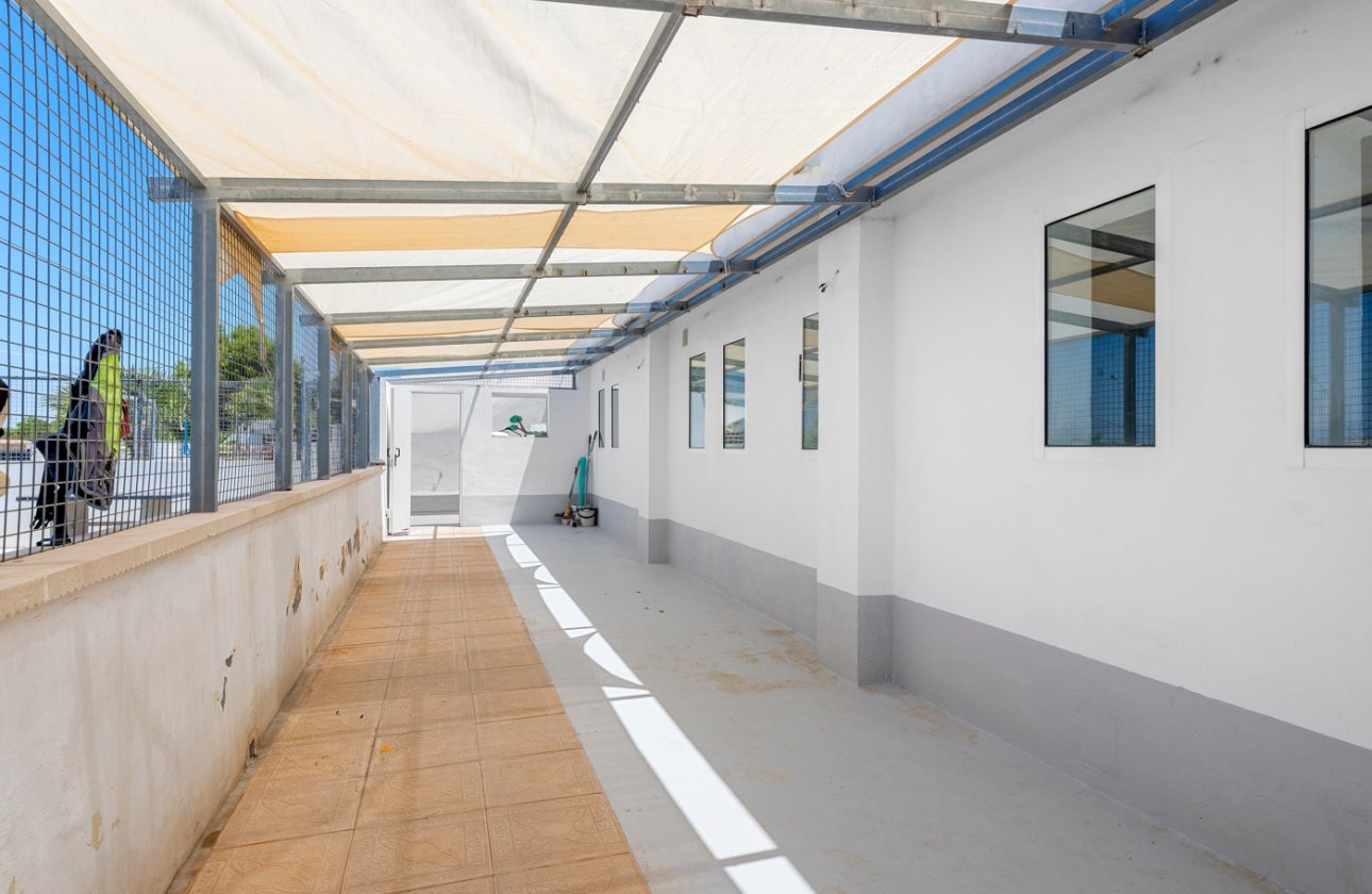 Resale - Villa - Los Montesinos - La Herrada
