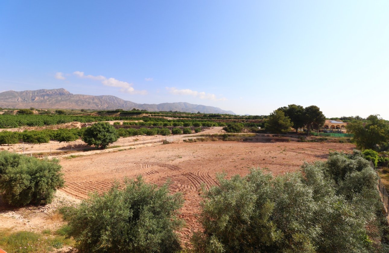 Resale - Villa - Albatera - Albatera - Country