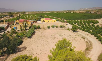 Resale - Villa - Albatera - Albatera - Country