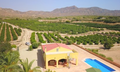 Resale - Villa - Albatera - Albatera - Country