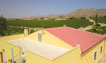 Resale - Villa - Albatera - Albatera - Country