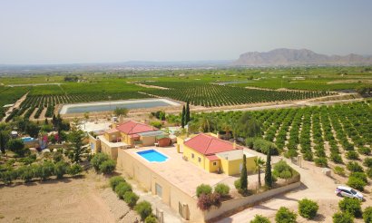 Resale - Villa - Albatera - Albatera - Country