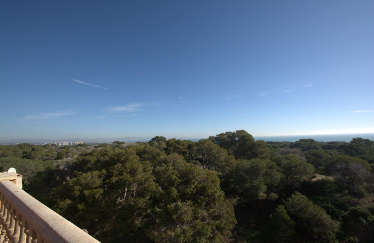 New Build - Apartment / flat - Guardamar del Segura - Pueblo