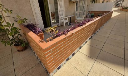 Resale - Apartment / flat - Torrevieja - Habaneras