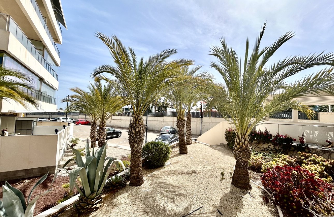 Reventa - Ático - Orihuela Costa - Los Dolses