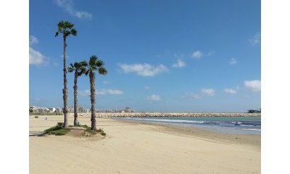 Resale - Villa - Torrevieja - Torreta - Florida