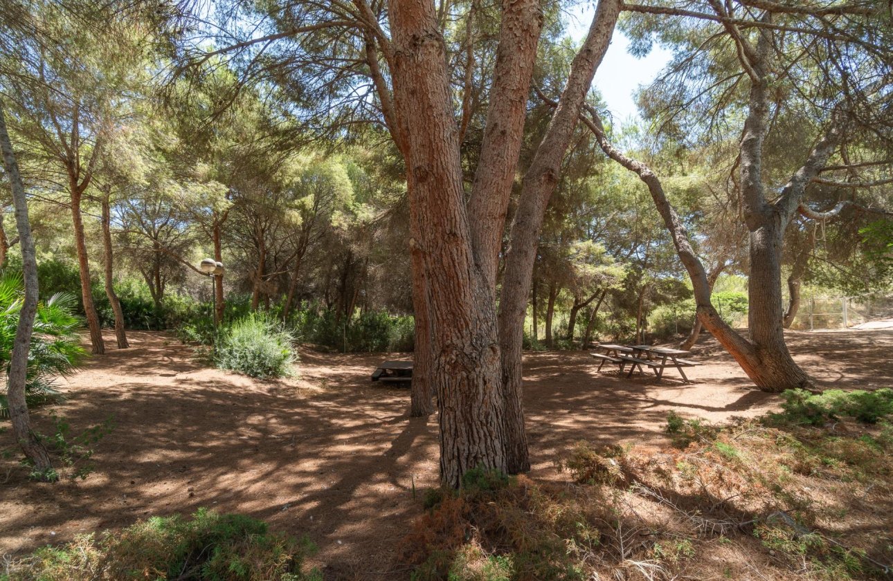 Resale - Apartment / flat - Orihuela Costa - Altos de Campoamor