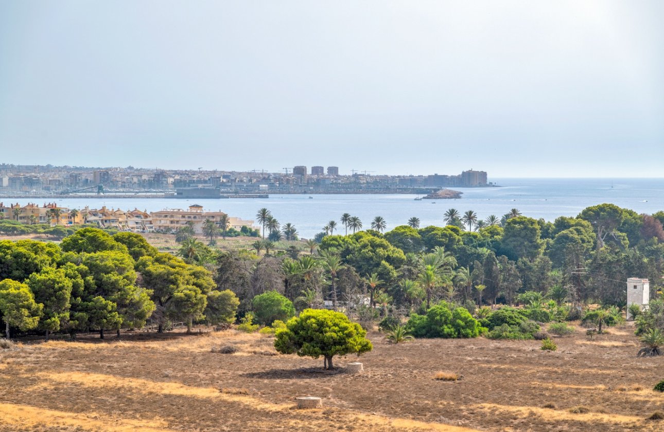 Resale - Apartment / flat - Torrevieja - Punta Prima