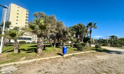 Revente - Appartement - Torrevieja - Cabo Cervera