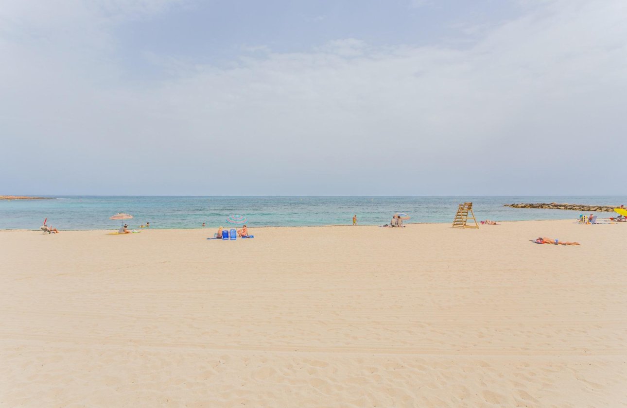 Revente - Appartement - Torrevieja - Estacion de autobuses