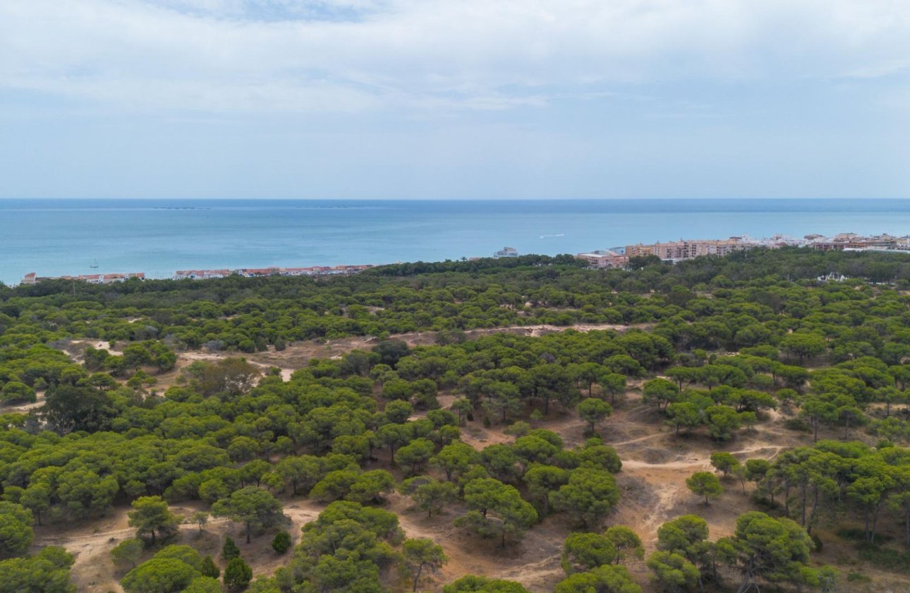 Resale - Apartment / flat - Guardamar del Segura - Centro