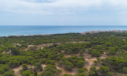 Resale - Apartment / flat - Guardamar del Segura - Centro