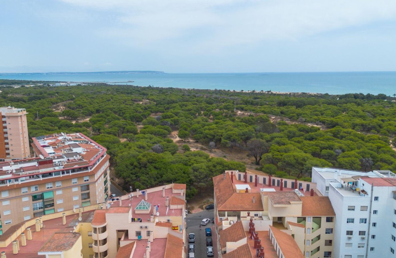 Resale - Apartment / flat - Guardamar del Segura - Centro