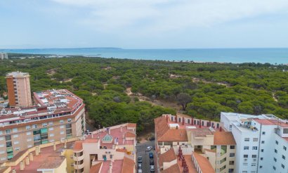 Resale - Apartment / flat - Guardamar del Segura - Centro