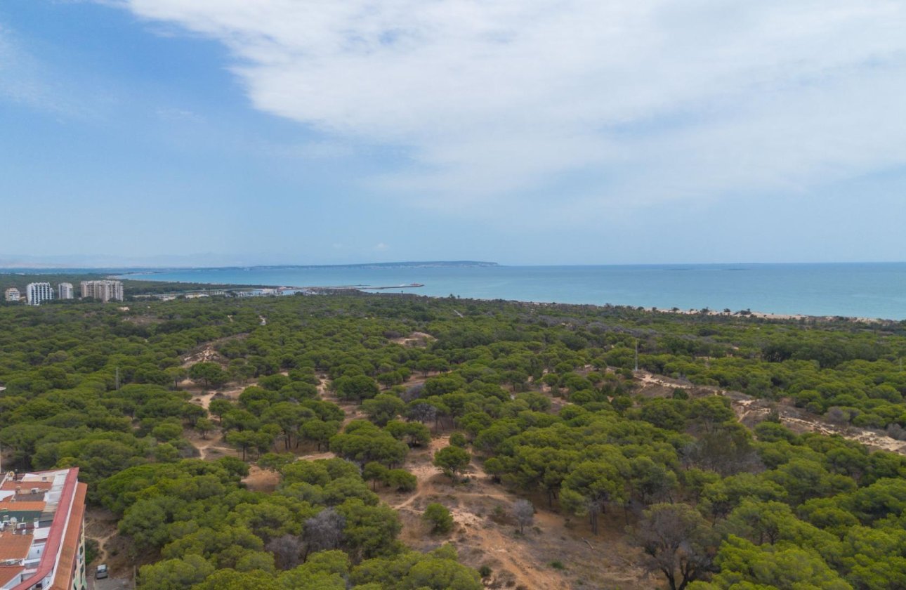 Resale - Apartment / flat - Guardamar del Segura - Centro