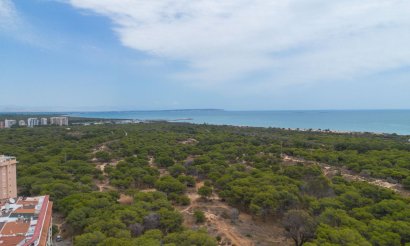 Resale - Apartment / flat - Guardamar del Segura - Centro