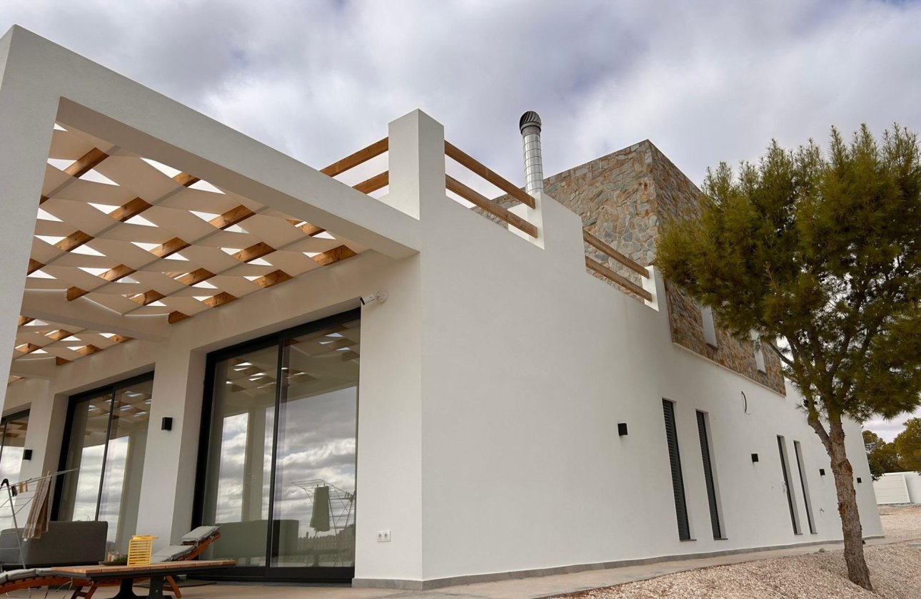 New Build - Villa - Pinoso - Casas Pastor