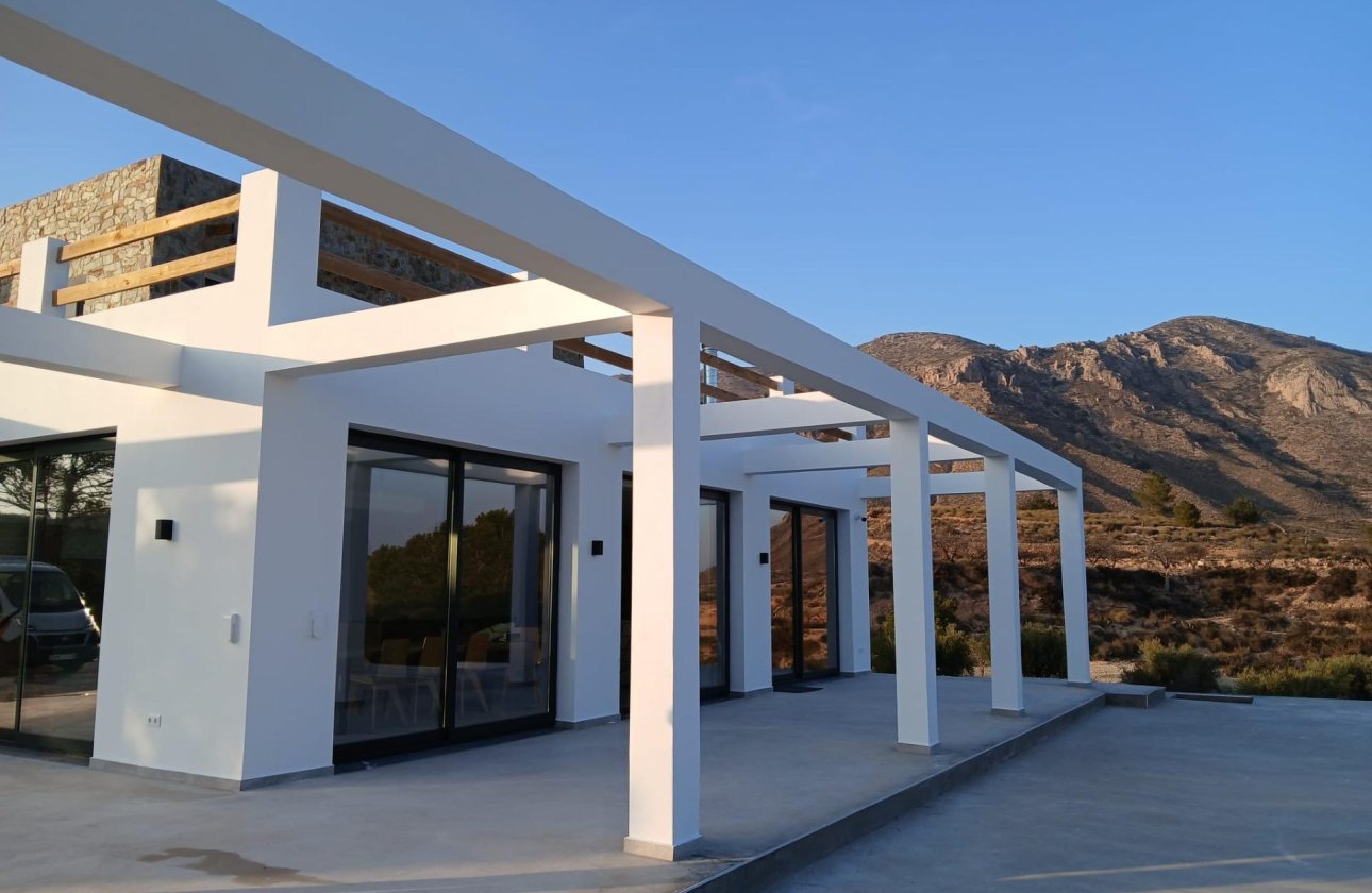 New Build - Villa - Pinoso - Casas Pastor