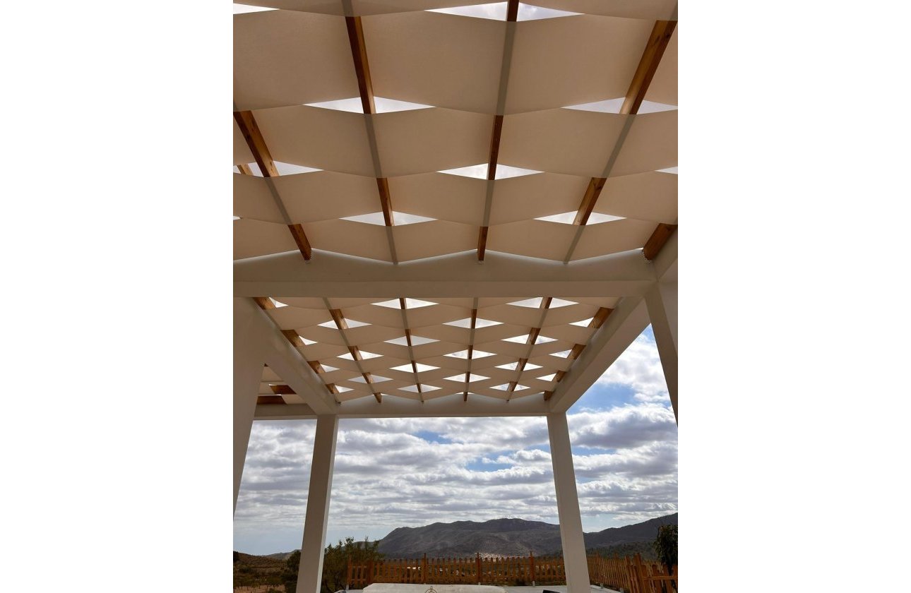 New Build - Villa - Pinoso - Casas Pastor