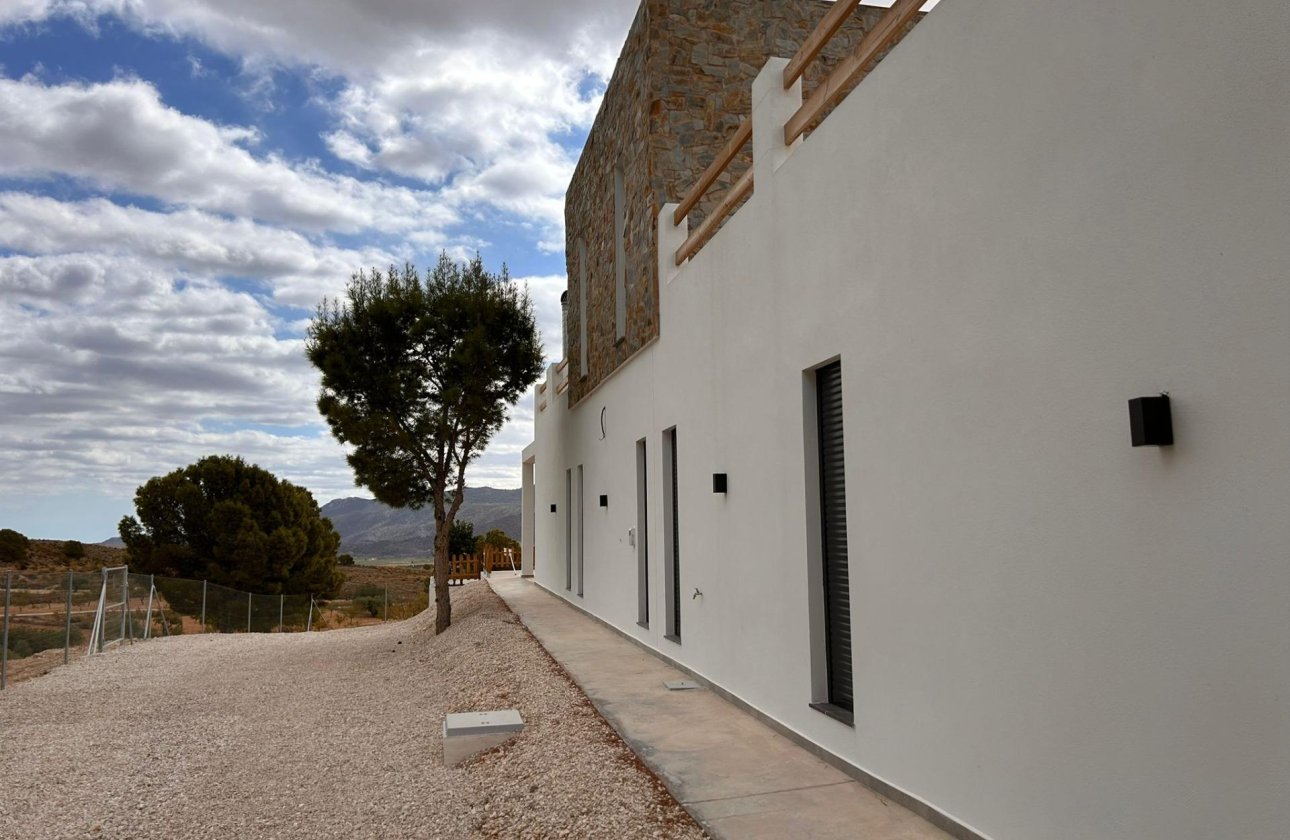 New Build - Villa - Pinoso - Casas Pastor