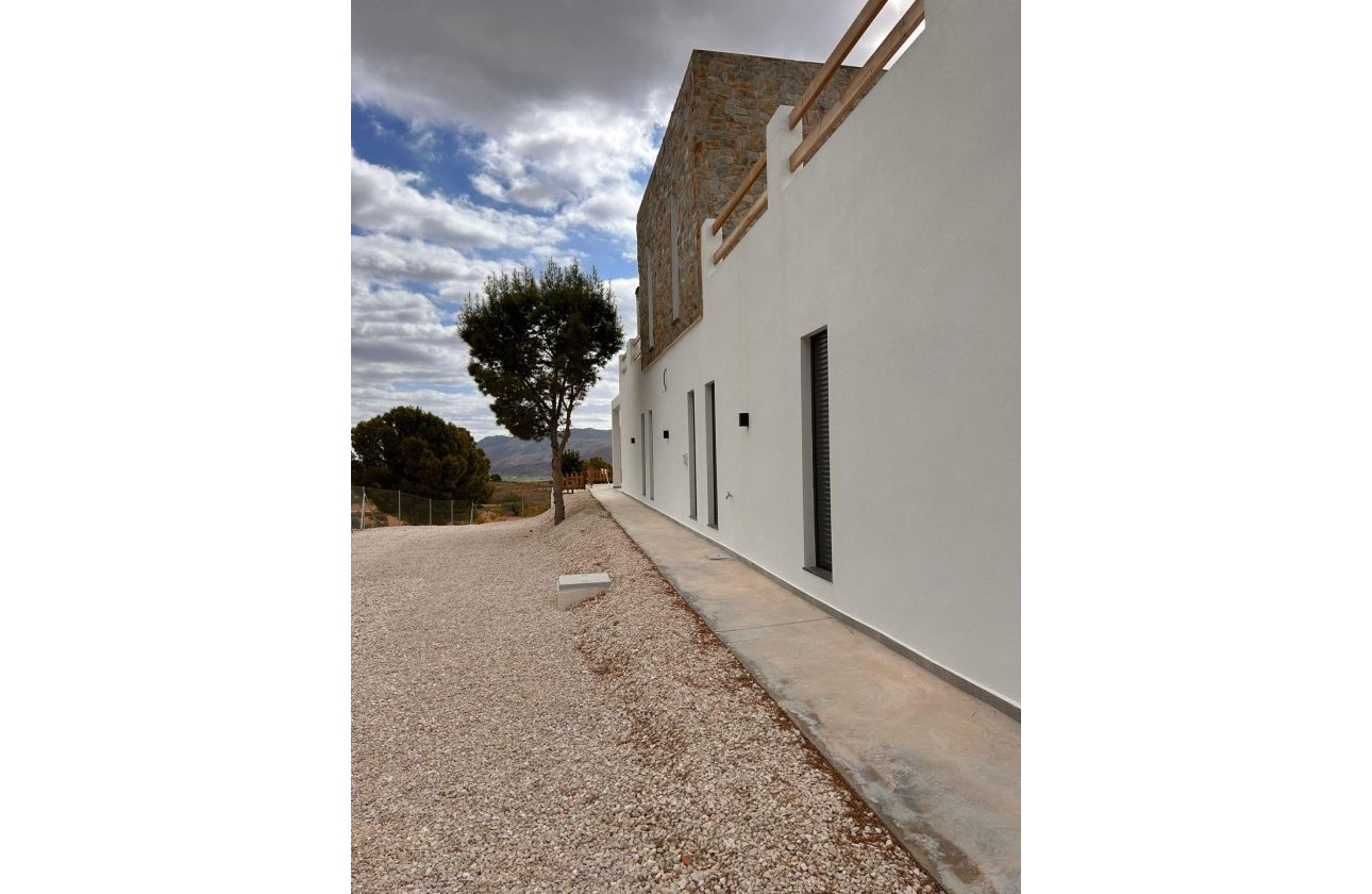 New Build - Villa - Pinoso - Casas Pastor