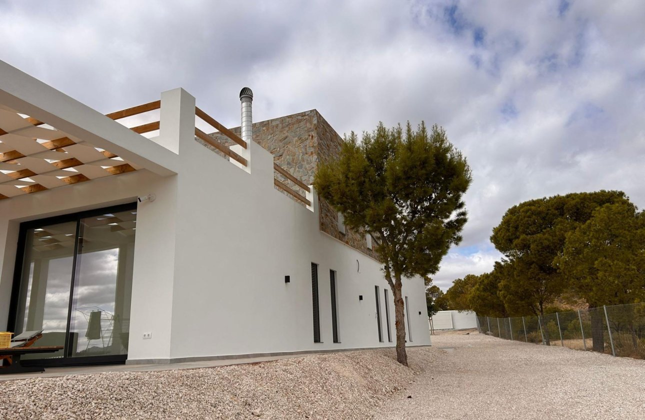 New Build - Villa - Pinoso - Casas Pastor