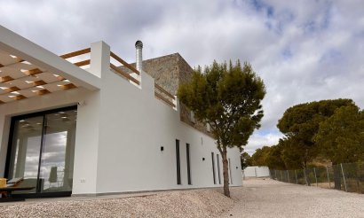 New Build - Villa - Pinoso - Casas Pastor