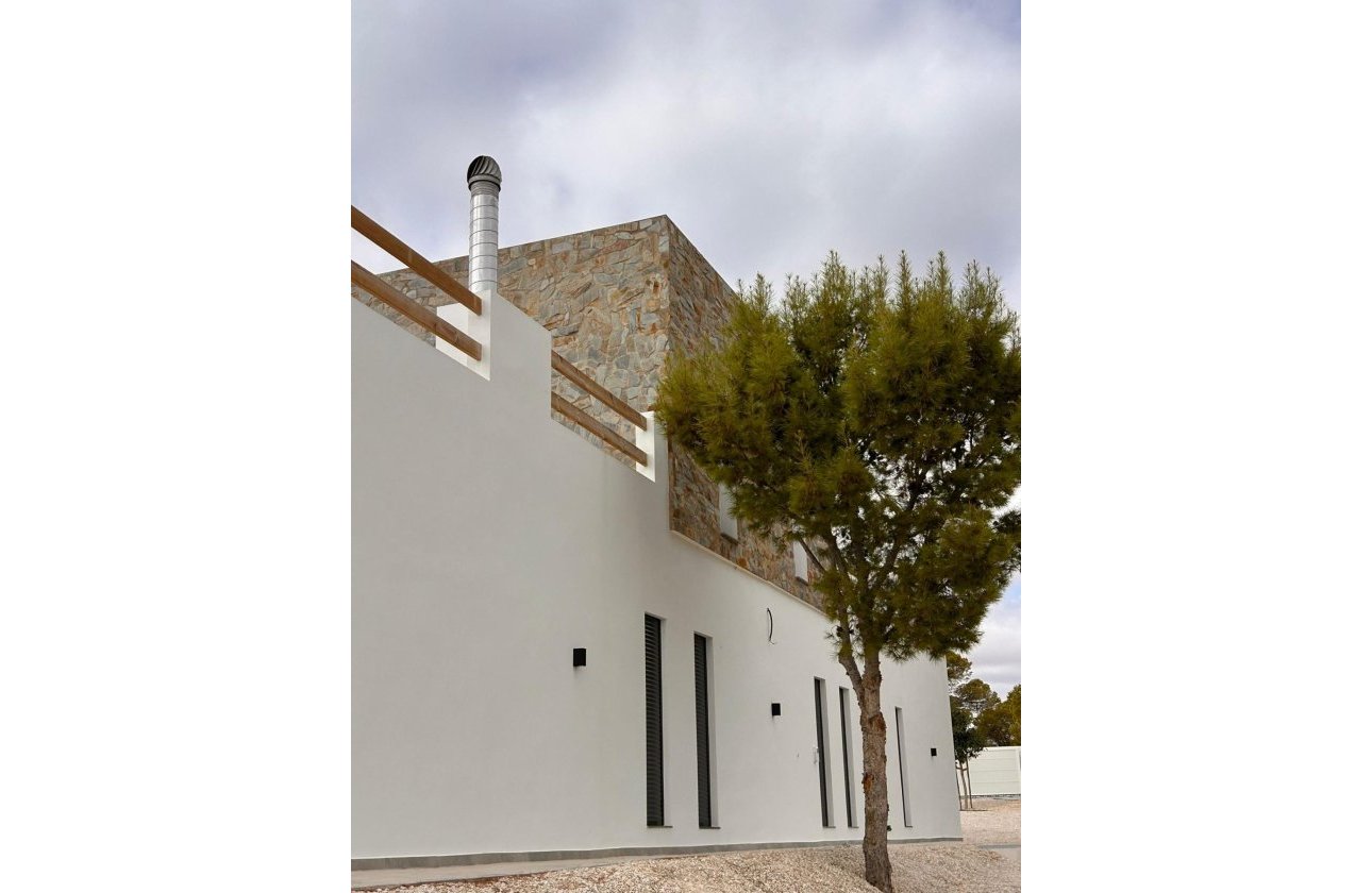 New Build - Villa - Pinoso - Casas Pastor