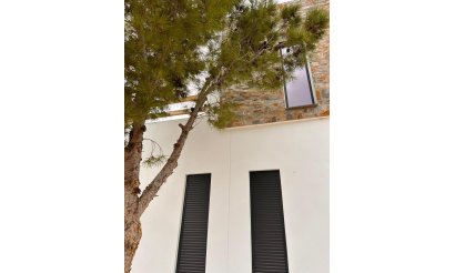 New Build - Villa - Pinoso - Casas Pastor